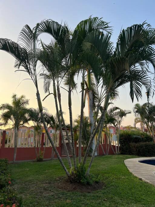 Appartement Casa Con Alberca A 8 Min De Playa à Ixtapa  Extérieur photo
